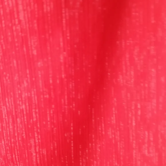 Express short sleeve Top w/overlay - Picture 7 of 8